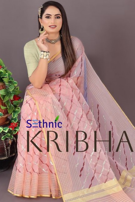Sethnic Kribha Organza Casual Saree Collection