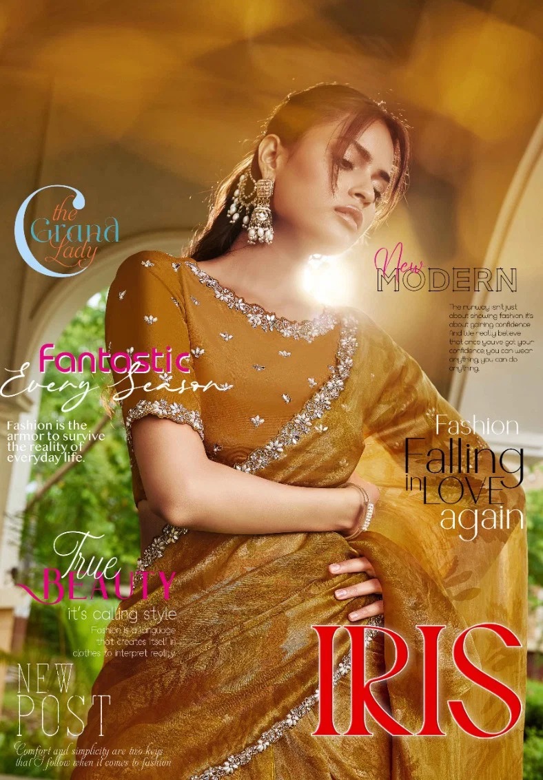 Mahotsav Norita 45000 Iris Two Town Designer Saree Collection